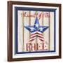 Patriotic Barn Star I-Paul Brent-Framed Art Print