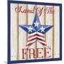 Patriotic Barn Star I-Paul Brent-Mounted Art Print