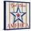 Patriotic Barn Star II-Paul Brent-Stretched Canvas