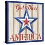 Patriotic Barn Star II-Paul Brent-Stretched Canvas