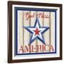 Patriotic Barn Star II-Paul Brent-Framed Art Print