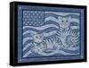 Patriotic Cats-Tina Nichols-Framed Stretched Canvas