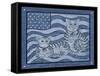 Patriotic Cats-Tina Nichols-Framed Stretched Canvas