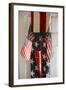 Patriotic II-Philip Clayton-thompson-Framed Photographic Print