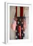 Patriotic II-Philip Clayton-thompson-Framed Photographic Print