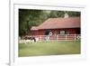 Patriotic Pony II-Elizabeth Urquhart-Framed Photo