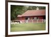 Patriotic Pony II-Elizabeth Urquhart-Framed Photo