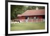 Patriotic Pony II-Elizabeth Urquhart-Framed Photo