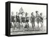 Patriotic Women at the Beach-Everett Collection-Framed Stretched Canvas