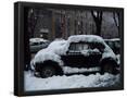 Essential Black