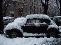 Just the Print
