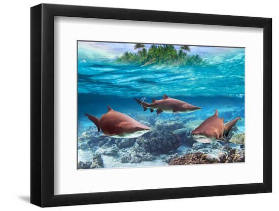 Premium Photographic Print, , large