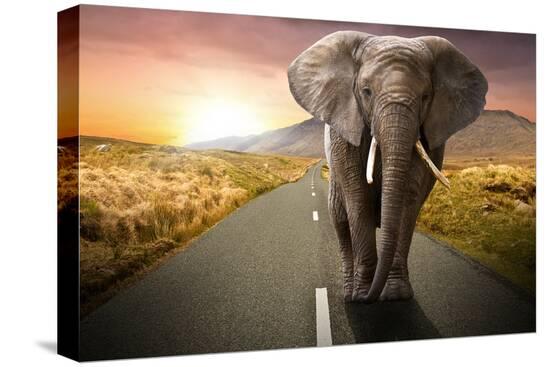 Stretched Canvas Print, , large