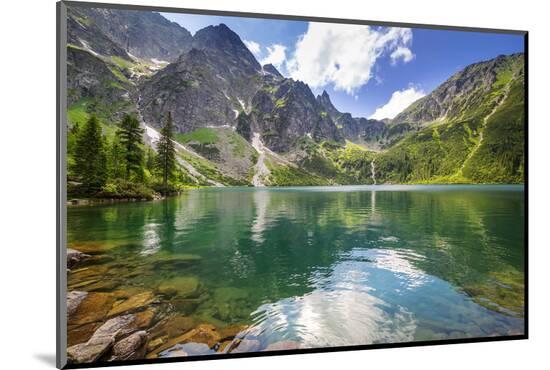 Photographic Print, , large