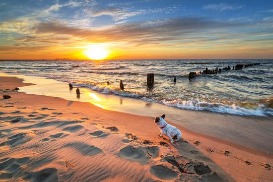 Photographic Print, , large