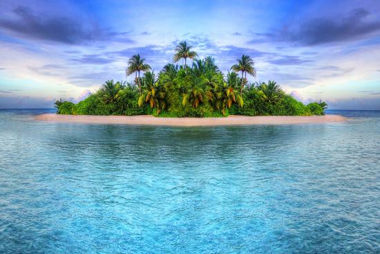 Premium Photographic Print, , large