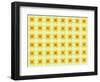 Pattern 103-RUNA-Framed Giclee Print