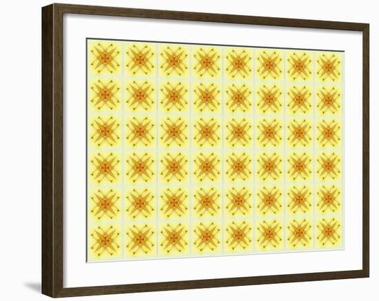 Pattern 103-RUNA-Framed Giclee Print