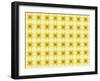 Pattern 103-RUNA-Framed Giclee Print