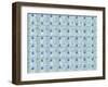 Pattern 107-RUNA-Framed Giclee Print