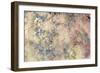 Pattern 15-RUNA-Framed Giclee Print