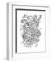 Pattern 2-Neeti Goswami-Framed Art Print