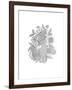 Pattern 4-Neeti Goswami-Framed Art Print