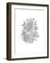 Pattern 4-Neeti Goswami-Framed Art Print