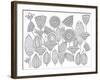 Pattern 8-Neeti Goswami-Framed Art Print