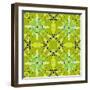 Pattern and Optics-Ricki Mountain-Framed Art Print