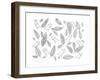 Pattern Bird Feathers-Neeti Goswami-Framed Art Print