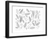 Pattern Bird Feathers-Neeti Goswami-Framed Art Print