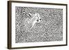 Pattern Cheetahs Background-Gepard-Framed Art Print