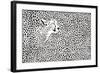 Pattern Cheetahs Background-Gepard-Framed Art Print