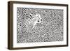 Pattern Cheetahs Background-Gepard-Framed Premium Giclee Print