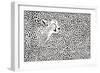 Pattern Cheetahs Background-Gepard-Framed Premium Giclee Print