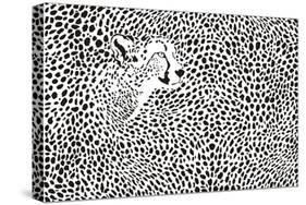 Pattern Cheetahs Background-Gepard-Stretched Canvas