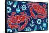 Pattern Crabs-Paul Brent-Framed Stretched Canvas