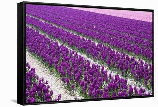 Pattern Flowers-Mauvries-Framed Stretched Canvas