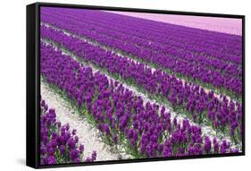 Pattern Flowers-Mauvries-Framed Stretched Canvas