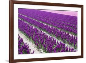 Pattern Flowers-Mauvries-Framed Photographic Print