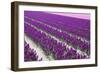 Pattern Flowers-Mauvries-Framed Photographic Print