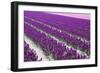 Pattern Flowers-Mauvries-Framed Photographic Print