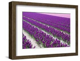 Pattern Flowers-Mauvries-Framed Photographic Print