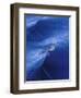 Pattern from Wake Behind Boat, Inside Passage, Alaska, USA-Nancy Rotenberg-Framed Photographic Print