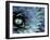 Pattern in Agave Cactus-Adam Jones-Framed Premium Photographic Print