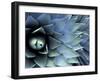 Pattern in Agave Cactus-Adam Jones-Framed Premium Photographic Print