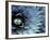 Pattern in Agave Cactus-Adam Jones-Framed Photographic Print