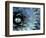 Pattern in Agave Cactus-Adam Jones-Framed Photographic Print