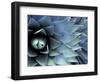 Pattern in Agave Cactus-Adam Jones-Framed Photographic Print